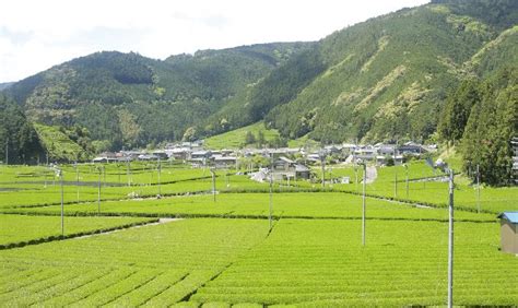 静岡市の発展場|静岡県でゲイと出会いたい人におすすめの方法・ハッテン場情報！